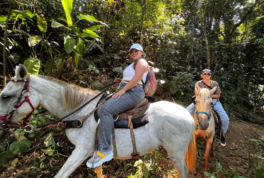Paraty: 3-Hour Rainforest Horseback Ride - What the guide and horses add to the experience