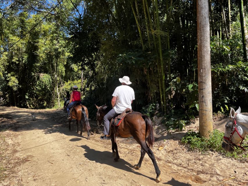 Paraty: 3-Hour Rainforest Horseback Ride - Is $120 a fair price?
