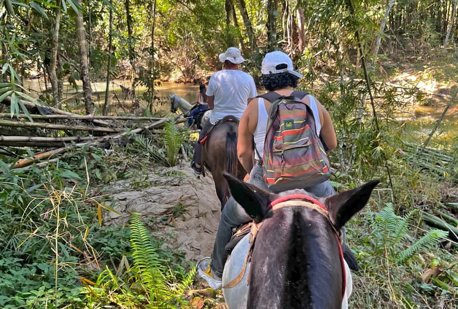 Paraty: 3-Hour Rainforest Horseback Ride - Timing, clothing, and practical preparation
