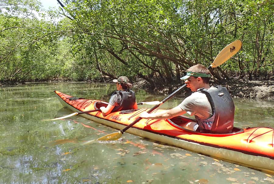 Paraty Bay: Half-Day Mangroves and Beaches Tour by Kayak - Crossing the calm waters of Paraty Bay
