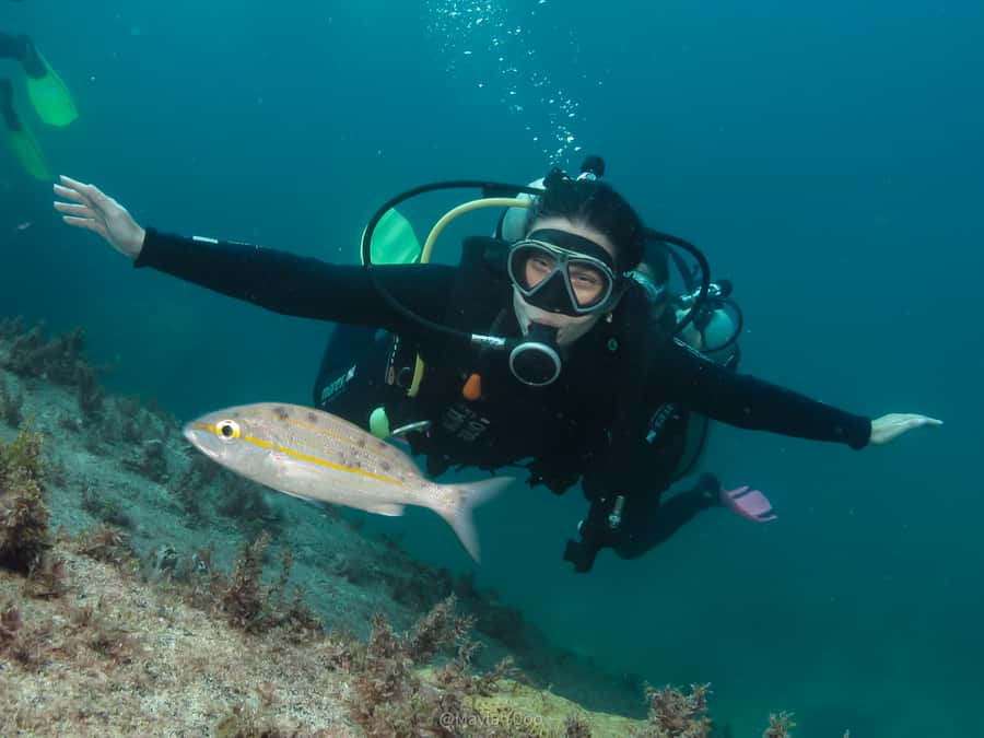 Paraty: Discovery Scuba Diving Experience for Beginners - Why Paraty works for a first scuba experience