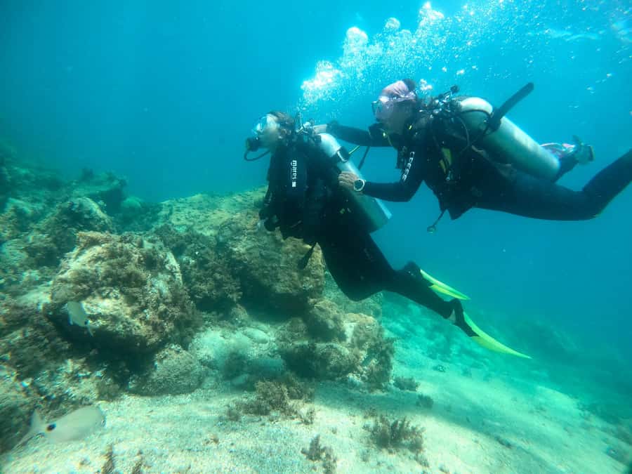 Paraty: Discovery Scuba Diving Experience for Beginners - Communication and the quality of the instruction