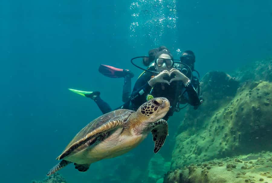 Paraty: Discovery Scuba Diving Experience for Beginners - What happens during the five-hour outing