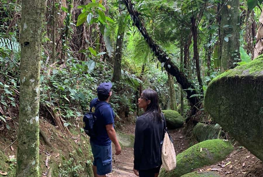 Paraty: Gold Trail Rainforest Hiking Tour - Who will enjoy this hike most?