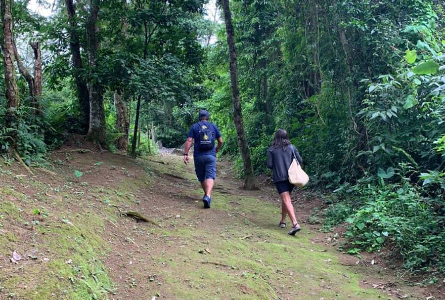 Paraty: Gold Trail Rainforest Hiking Tour - What to bring for a smoother outing
