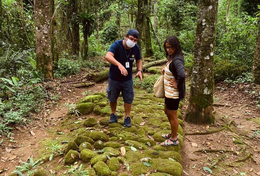 Paraty: Gold Trail Rainforest Hiking Tour - Plants, animals, and time for photographs