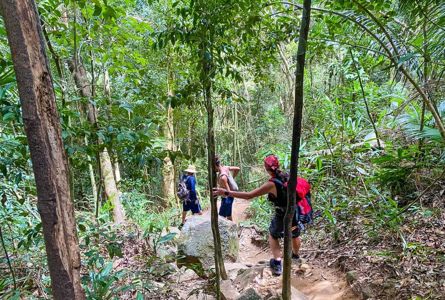Paraty: Pão de Açucar Peak Trekking and Hiking Tour - Key points to know before booking