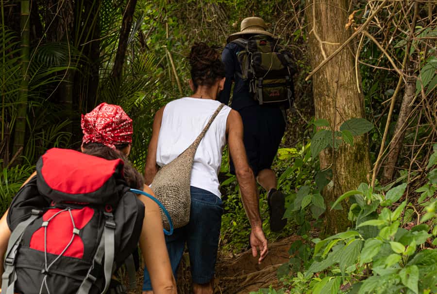Paraty: Pão de Açucar Peak Trekking and Hiking Tour - Is $115 a fair price?