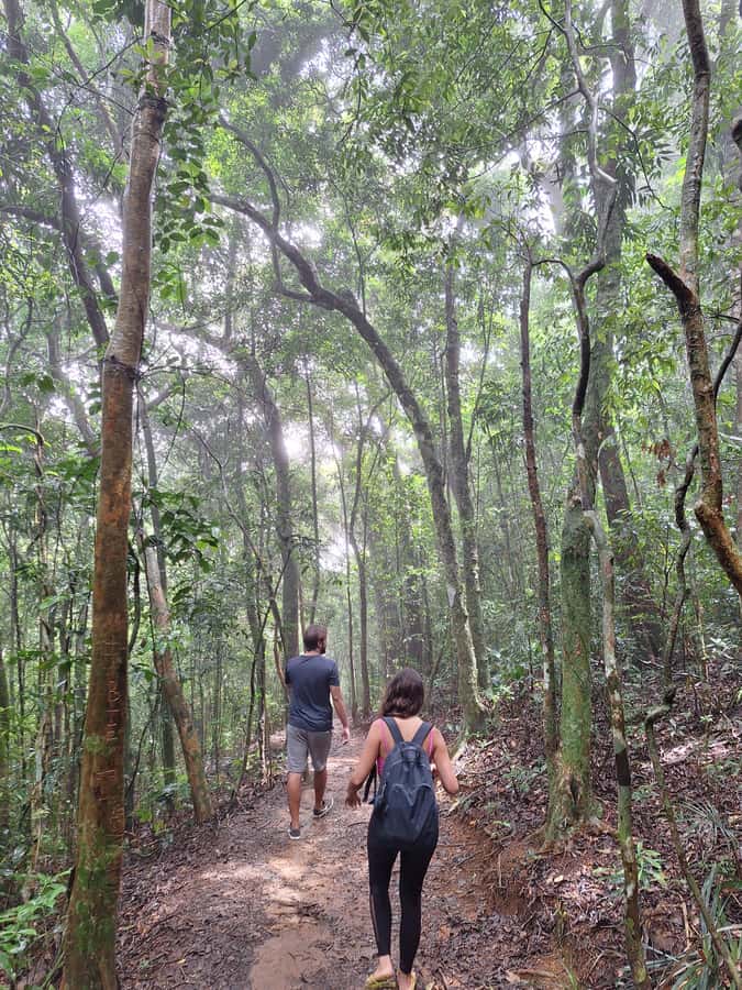 Pedra Bonita Trail: The easiest trail with a beautiful view of Rio - What the two-hour visit feels like