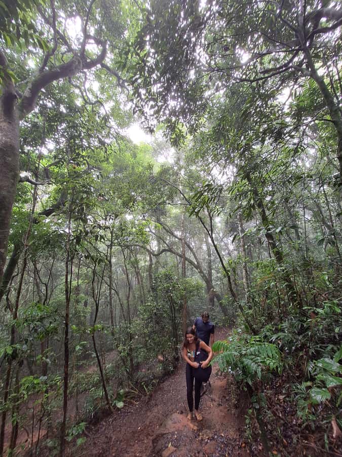 Pedra Bonita Trail: The easiest trail with a beautiful view of Rio - Is $44 a fair price?