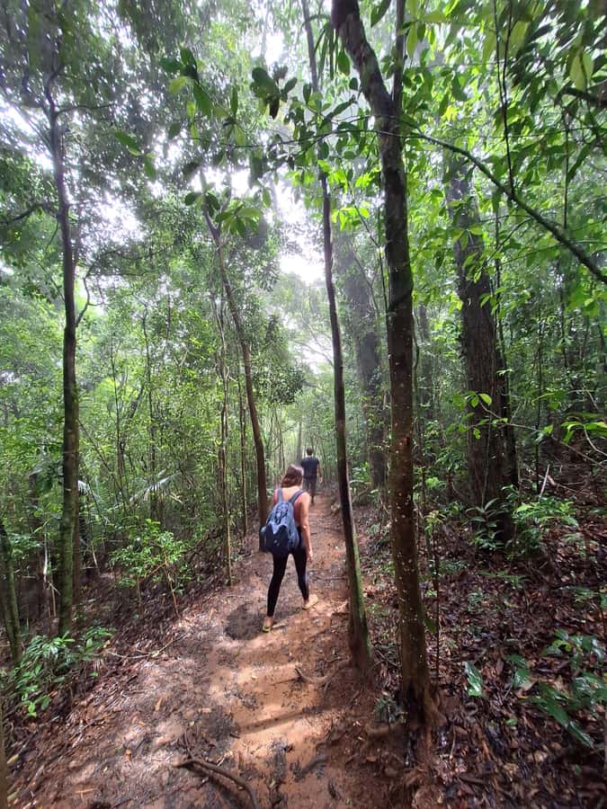Pedra Bonita Trail: The easiest trail with a beautiful view of Rio - Who will enjoy this walk most