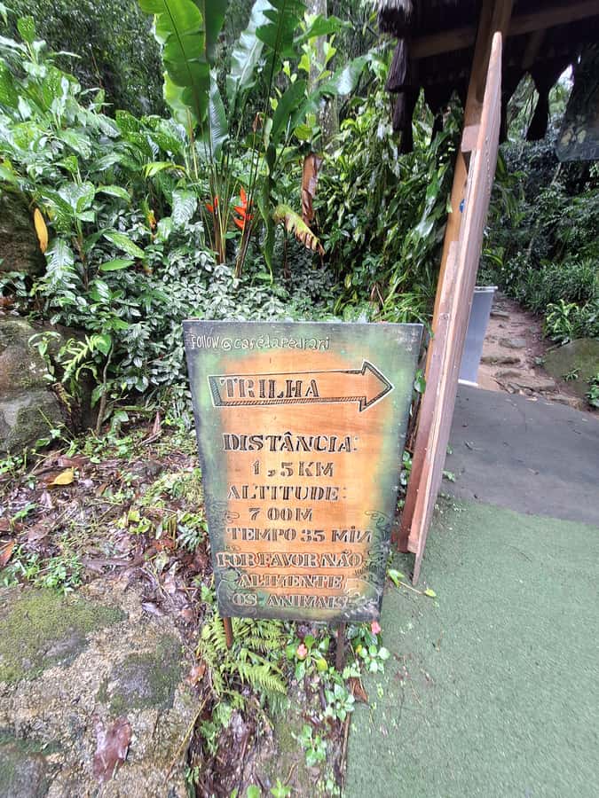 Pedra Bonita Trail: The easiest trail with a beautiful view of Rio - Languages, flexibility, and booking terms