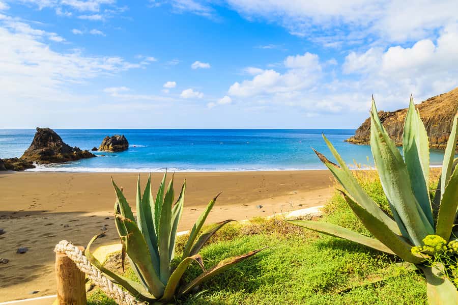 Pedra do Telégrafo Hike and Beach Full-Day Tour - What the $56 price includes