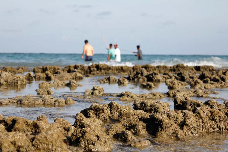 Porto Galinhas Full Day Tour - Key points to know before booking