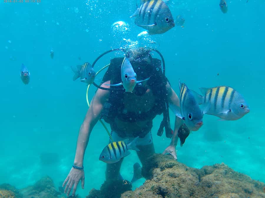 Porto Galinhas Full Day Tour - Why Porto Galinhas makes a good Recife day trip