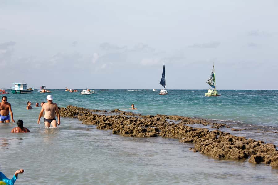 Porto Galinhas Full Day Tour - A full day beside Porto Galinhas beach