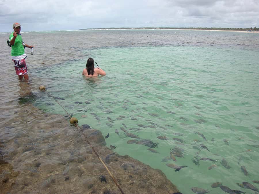 Porto Galinhas Full Day Tour - How to prepare for the eight-hour outing