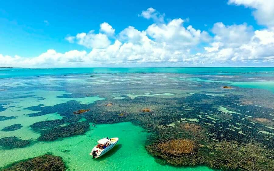 Praia de Paripueira Beach Day Tour - Paripueira’s Calm Water Makes the Day Easy