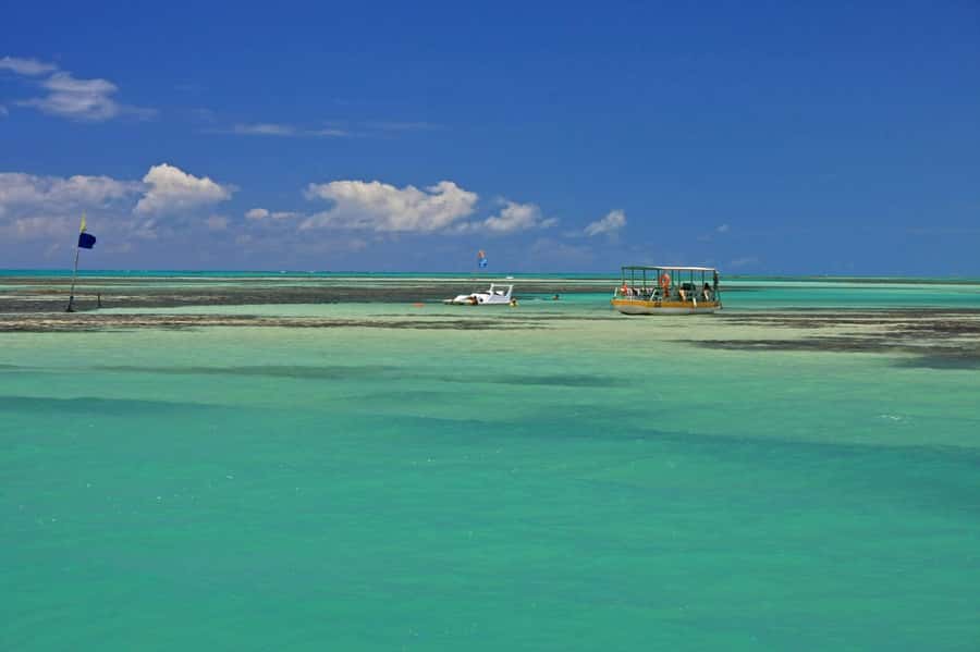 Praia de Paripueira Beach Day Tour - Tide Pools, Coral Banks, and Tropical Fish