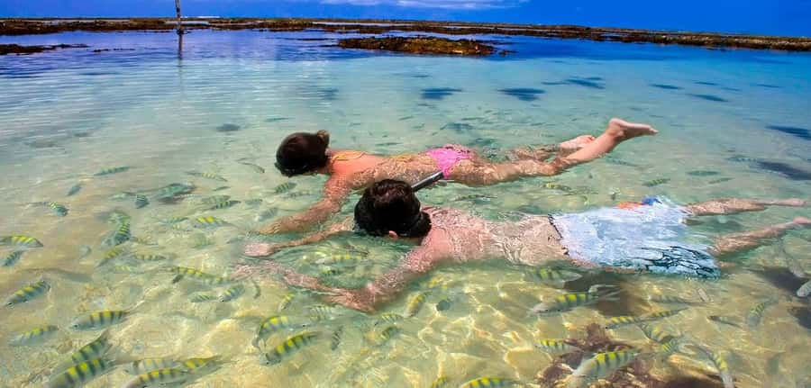Praia de Paripueira Beach Day Tour - The Beach Club Fee Changes the Real Price