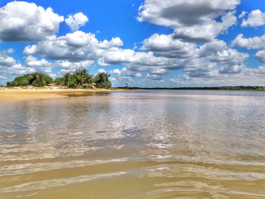 Preguicas River Speedboat Tour - The Preguiças River sets the pace