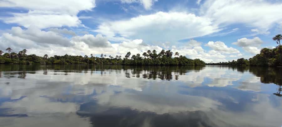 Preguicas River Speedboat Tour - The long stop can change your whole day