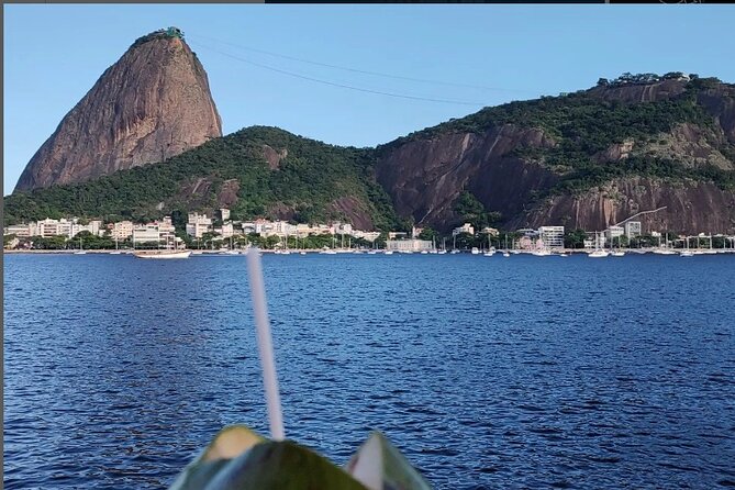 Private and Customizable Tour in Rio de Janeiro - Vista Chinesa and the city’s quieter view