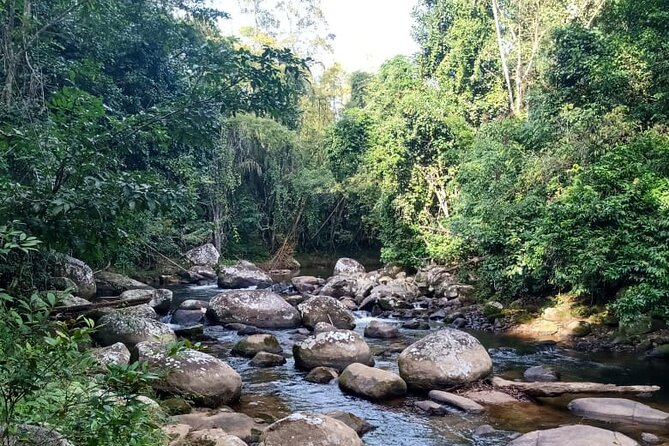 Private Bike Tour in Paraty - Key points to know before booking