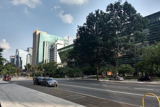 Private Half-Day Guided Tour to São Paulo - Seeing São Paulo as a city of contrasts