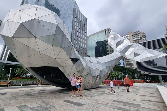 Private Half-Day Guided Tour to São Paulo - A private car that works best for groups