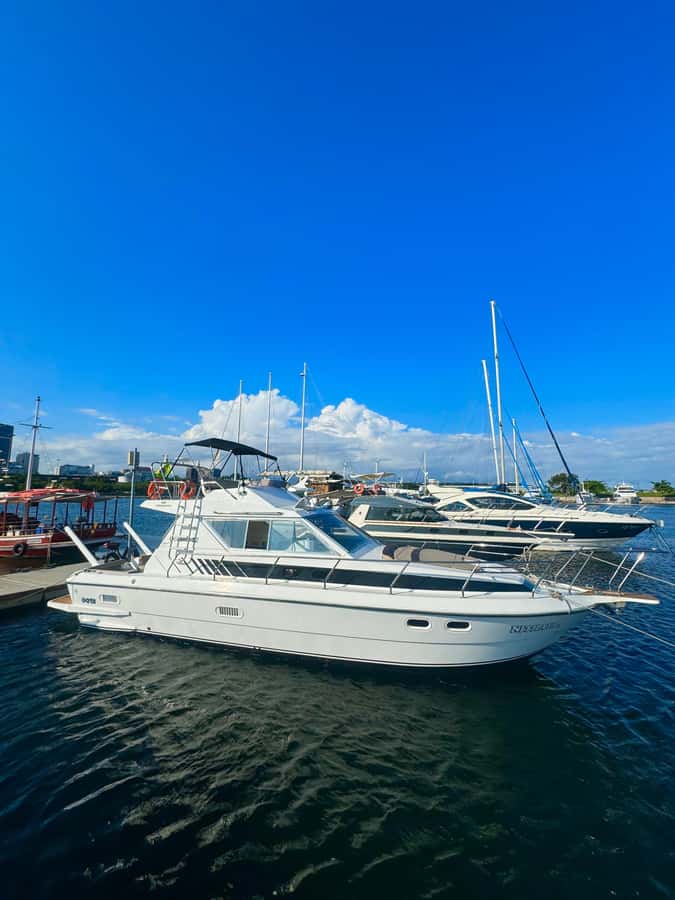 Private speedboat tour in Rio de Janeiro - Key points to know before you book