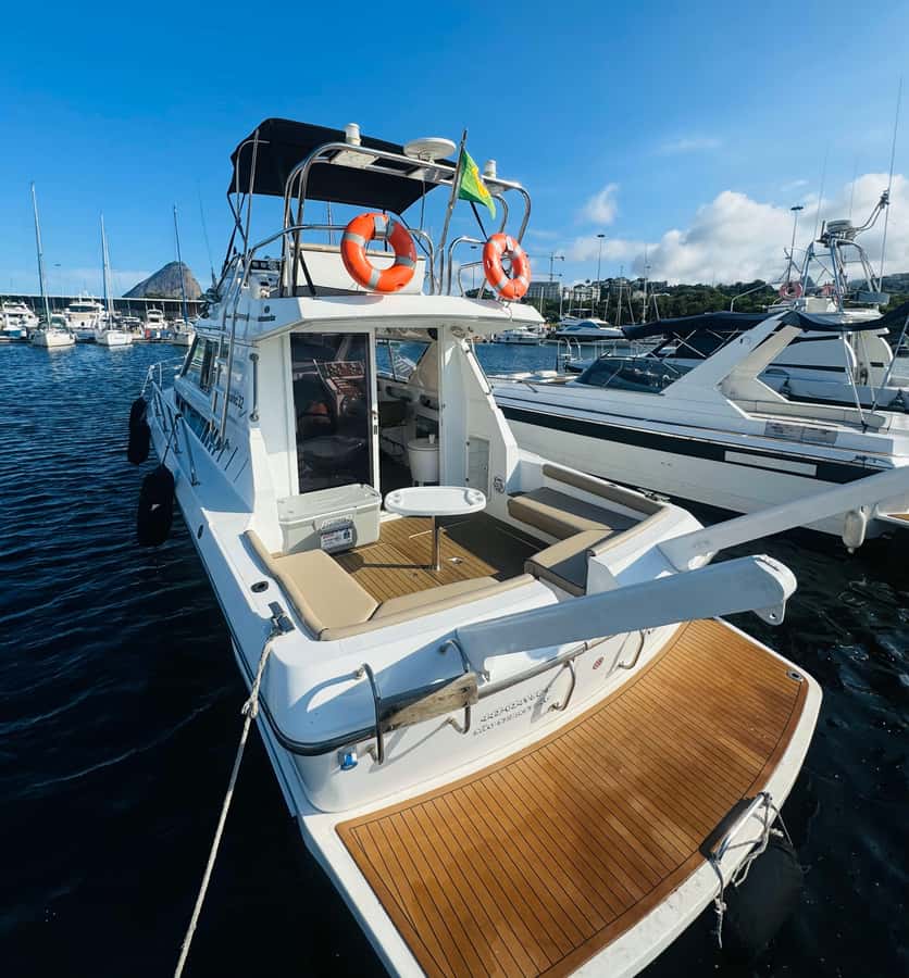 Private speedboat tour in Rio de Janeiro - Setting out from Marina da Glória