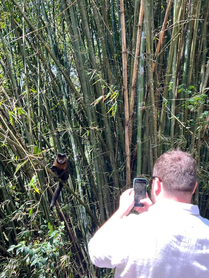 Private Tijuca Forest & Botanical Garden Guided Tour - Who should book this outing?