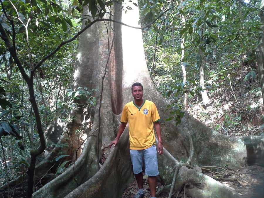 Private Tijuca Forest & Botanical Garden Guided Tour - A simple forest trail through Tijuca National Park