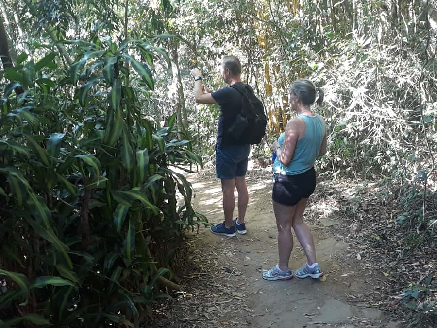 Private Tijuca Forest & Botanical Garden Guided Tour - Cascatinha Taunay adds water and a pause