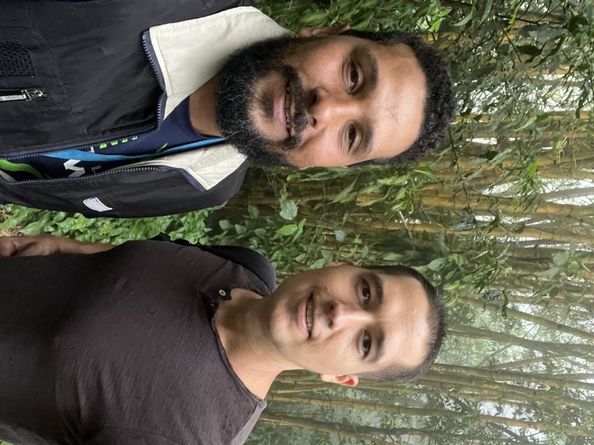 Private Tijuca Forest & Botanical Garden Guided Tour - The Botanical Garden closes the day with plants on display
