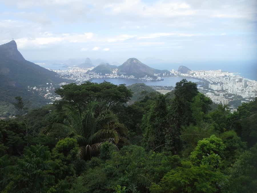 Private Tijuca Forest & Botanical Garden Guided Tour - What the $80 price includes, and what it does not