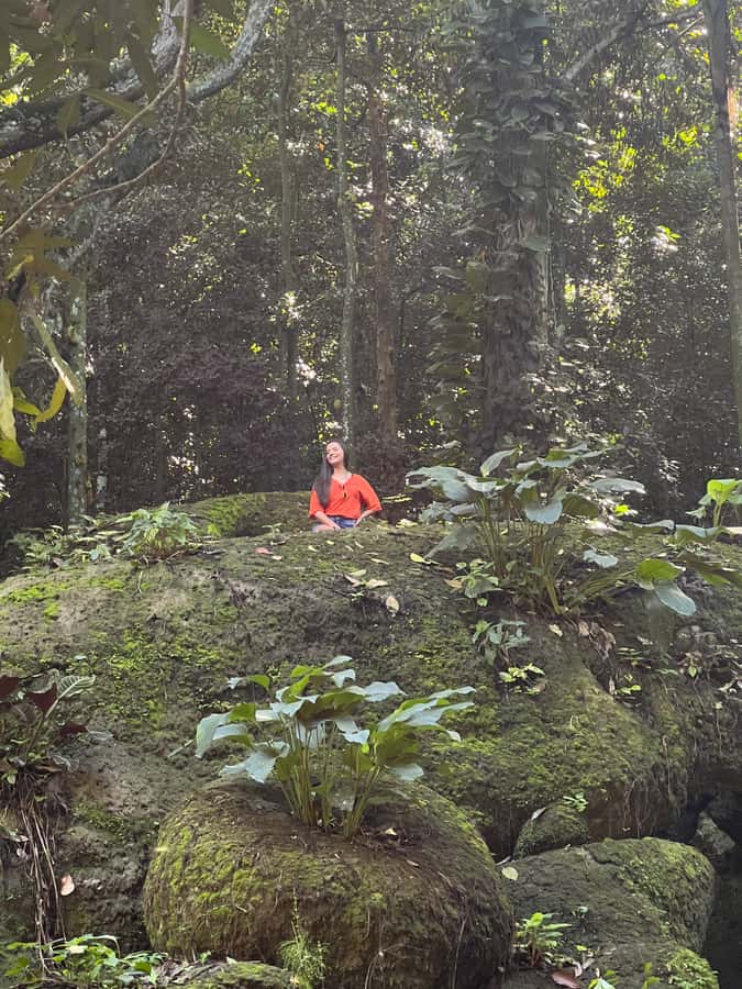 Private Tijuca Forest & Botanical Garden Guided Tour - Chinese Viewpoint gives you Rio from above