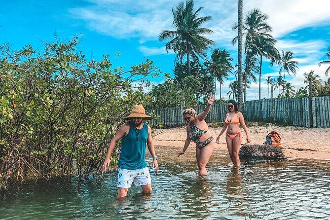 Private Tour to Trancoso - Four hours at Praia dos Coqueiros
