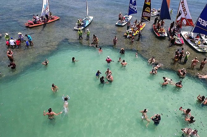 Private Transfer from Recife Airport to Porto de Galinhas - The important booking risk