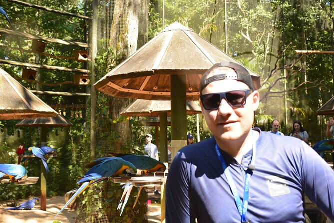 Private transport with guide to Brazil Falls + Bird Park - What the private format really changes