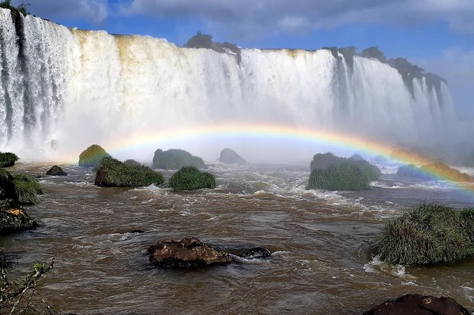 Private transport with guide to Brazil Falls + Bird Park - What the guides add to the day