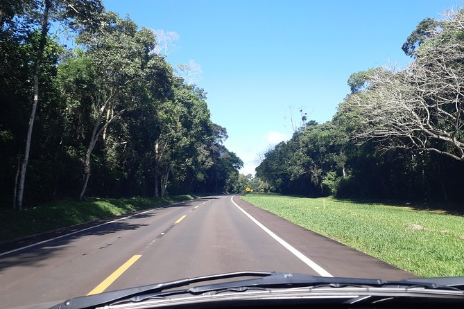 Private transport with guide to Brazil Falls + Bird Park - Who will get the most from this outing