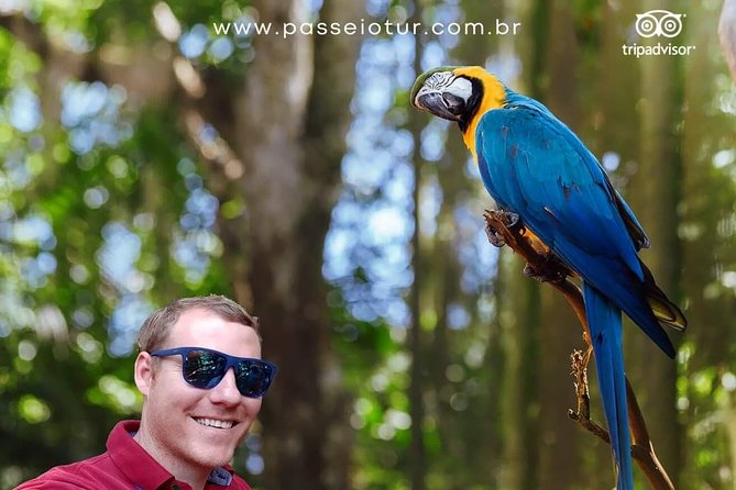 Private transport with guide to Brazil Falls + Bird Park - Stop one: the Brazilian side of Iguassu Falls
