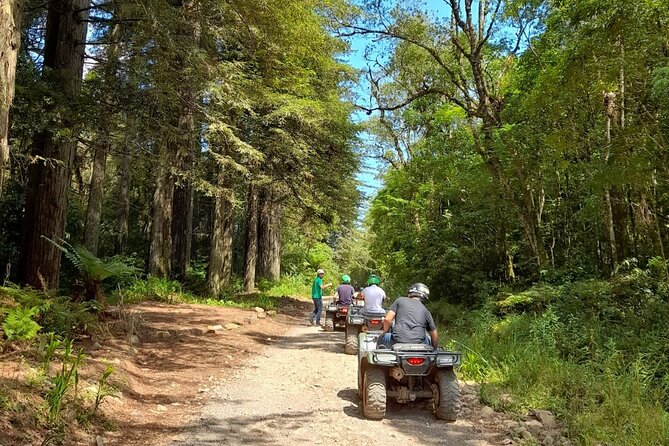 Quadricycle Tour to the Hills with Off Road 15km - 01 person - Key points before you book