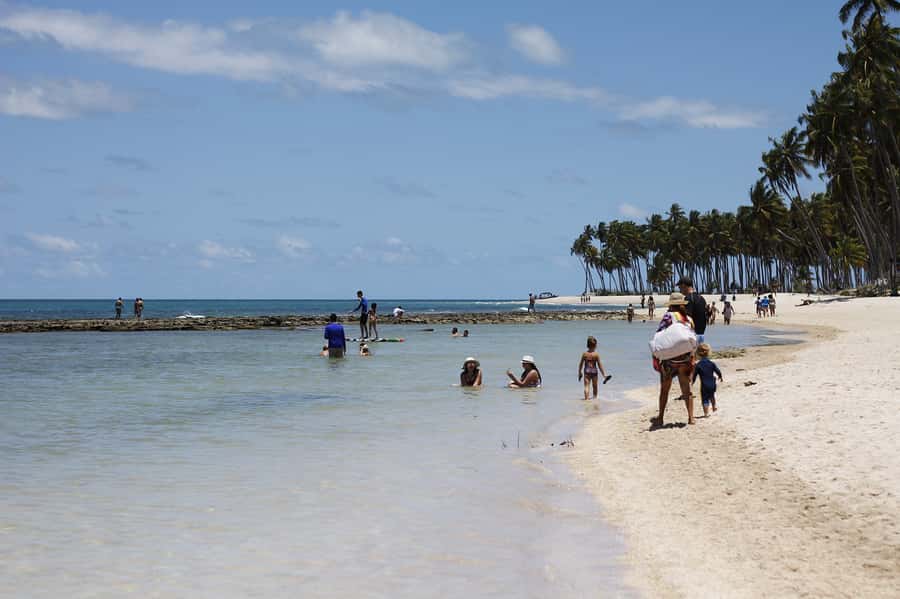 Recife: Carneiros Beach Day Tour - Key points to know before you book