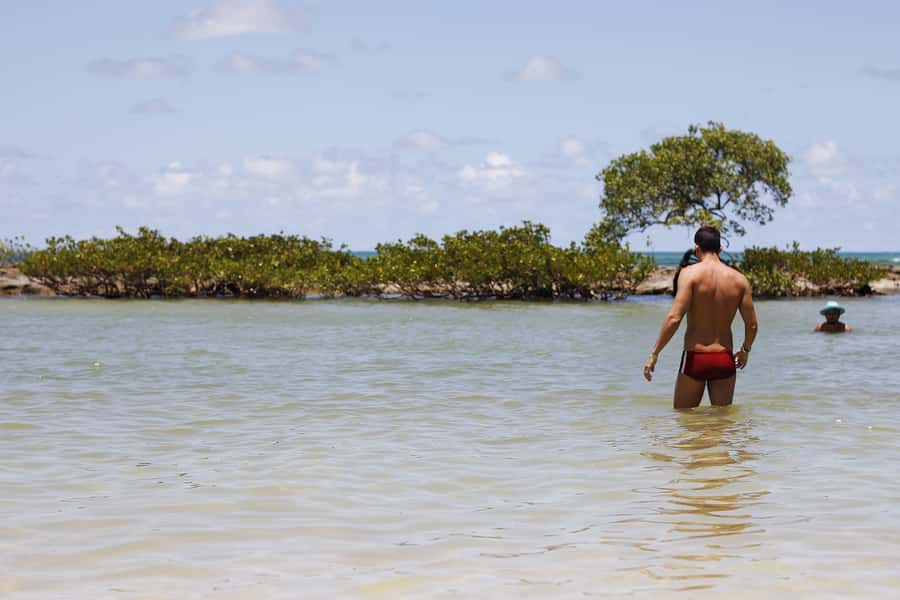 Recife: Carneiros Beach Day Tour - Swimming, paddleboarding, and quiet beach time