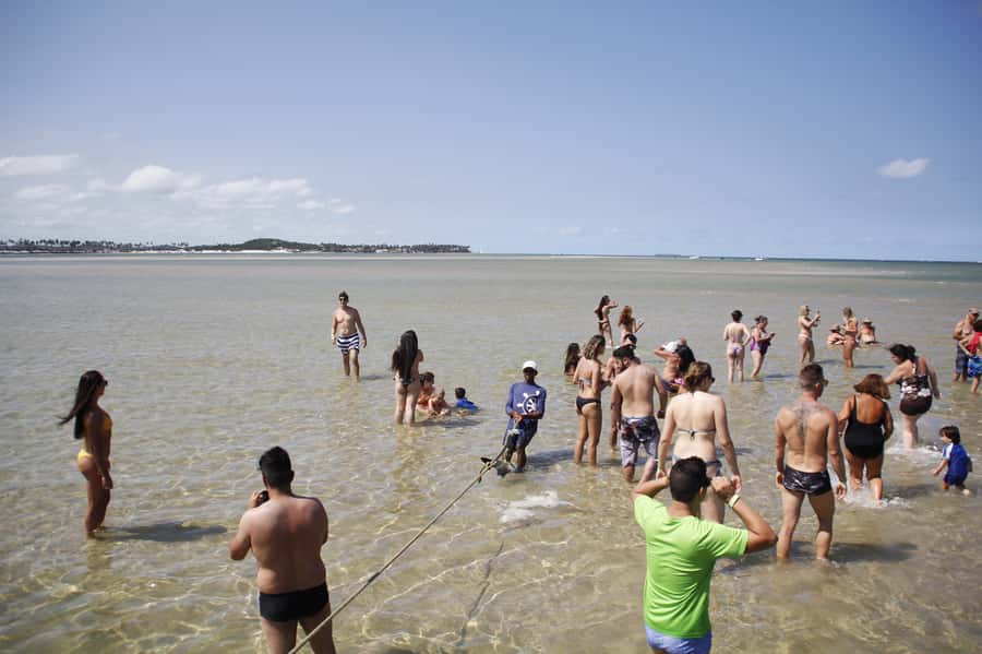 Recife: Carneiros Beach Day Tour - Beach clay and a final cool-down