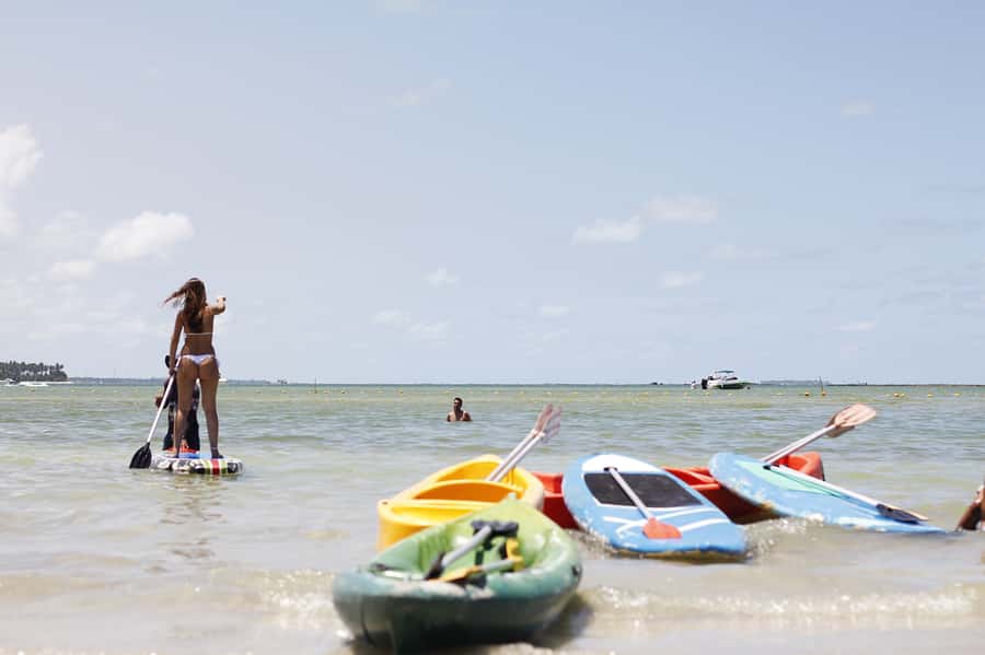 Recife: Carneiros Beach Day Tour - Guide language and group atmosphere