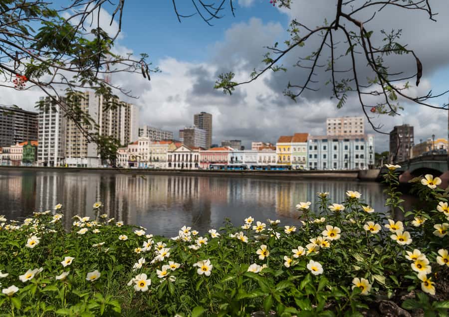 Recife: City Tour Recife & Olinda - Olinda’s giant Carnival dolls